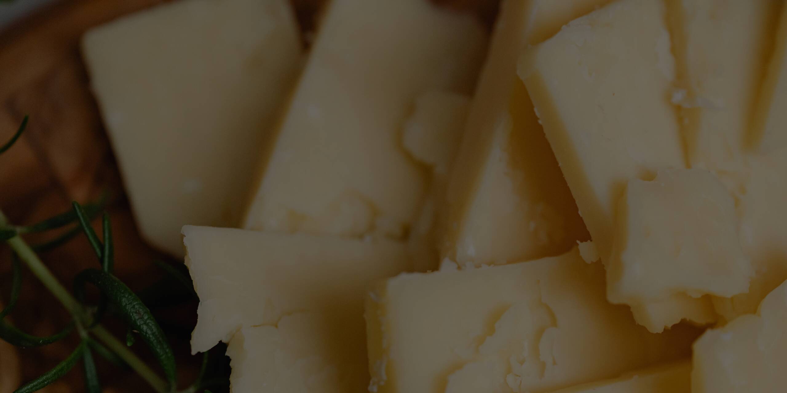 Fondo Quesos DECASARRE